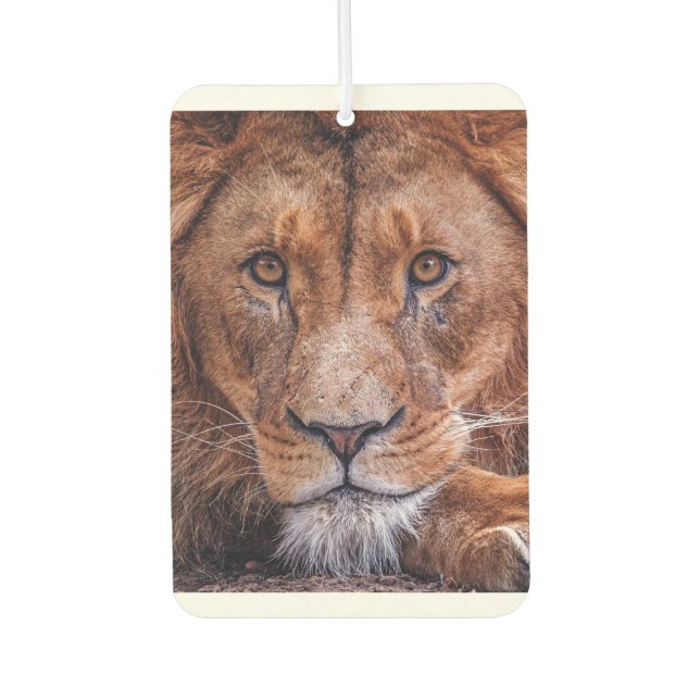 African Lion Car Air Freshener (Front)