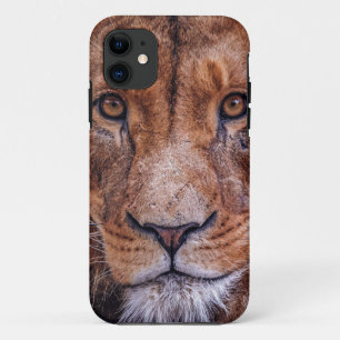 African Lion Case-Mate iPhone Case