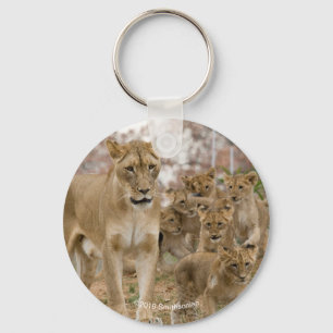 African Lion Cubs with Mother Key Ring