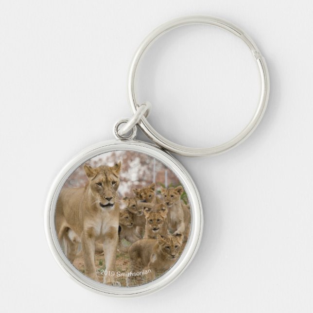 African Lion Cubs with Mother Key Ring (Front)