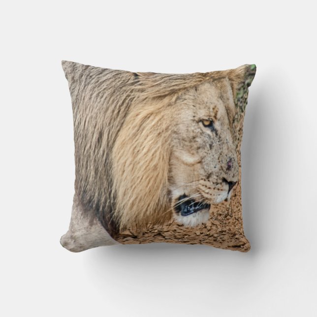 African Lion Cushion (Front)