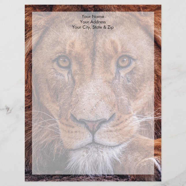African Lion Custom Letterhead (Front)