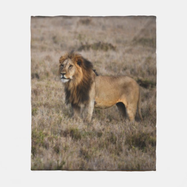 African Lion Fleece Blanket (Front)