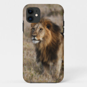 African Lion in Grass Case-Mate iPhone Case