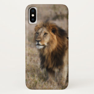 African Lion in Grass iPhone X Case