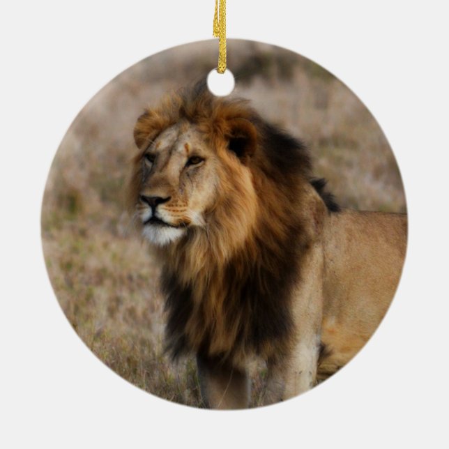 African Lion in Grass Ceramic Tree Decoration (Back)