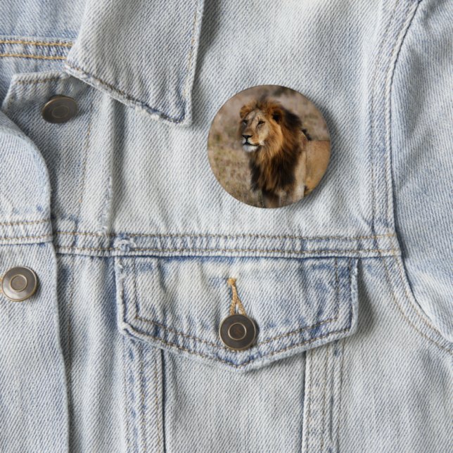 African Lion in Grass Silver Plated 6 Cm Round Badge (In Situ)
