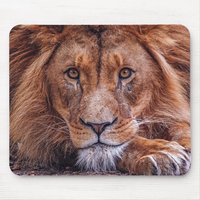 African Lion Mouse Pad (Front)