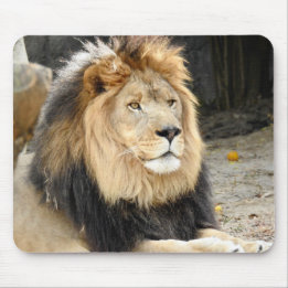 African Lion Mouse Pad