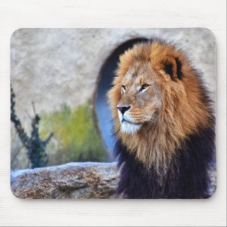 African Lion Mouse Pad