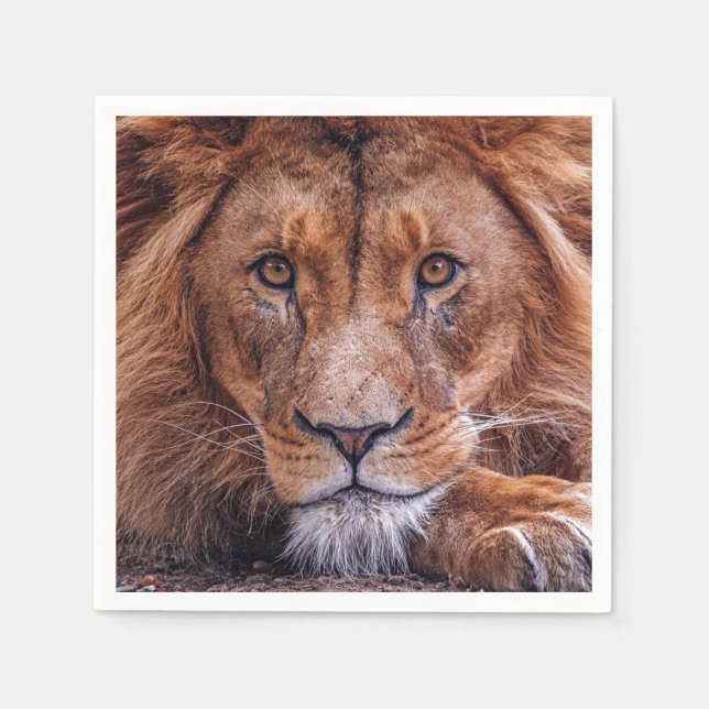 African Lion Napkin (Front)