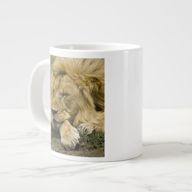 African Lion, Panthera leo, laying down asleep Large Coffee Mug (Front Left)