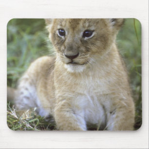 African lion, Panthera leo), Tanzania, Mouse Pad