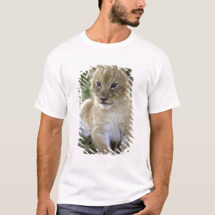African lion, Panthera leo), Tanzania, T-Shirt