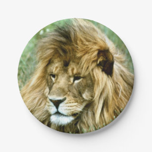 African lion paper plate