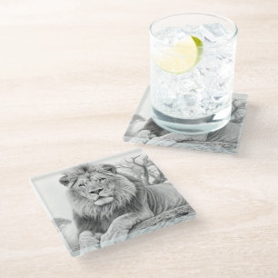 African Lion Pencil Drawing   Glass Coaster
