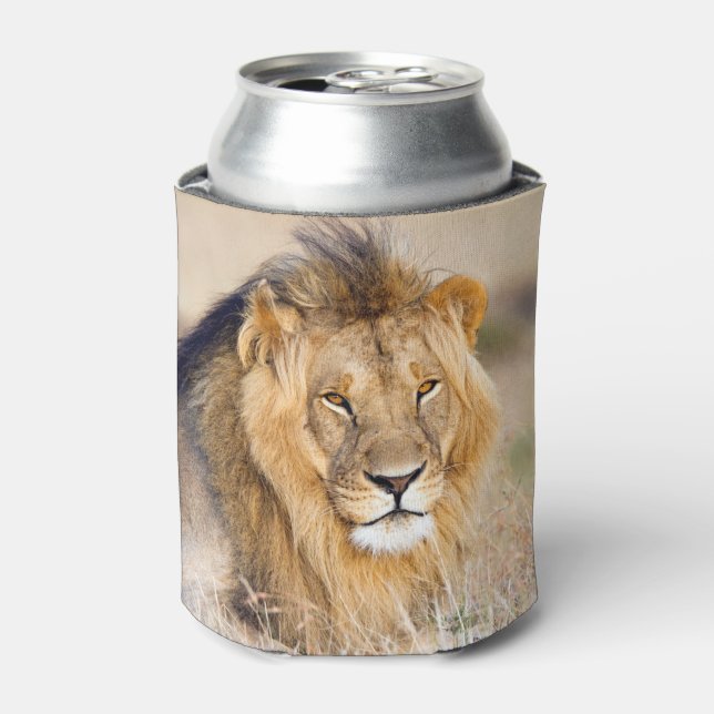 African Lion safari big cat animal photo Can Cooler (Can Front)