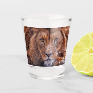 African Lion Shot Glass
