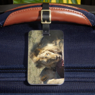 African Lion Stare Luggage Tag