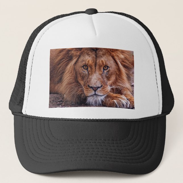 African Lion Trucker Hat (Front)