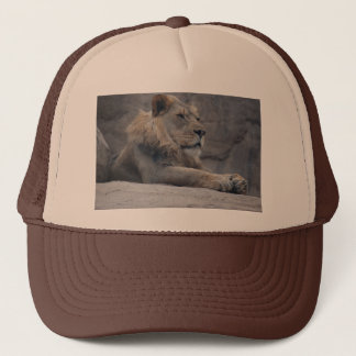 African Lion Trucker Hat