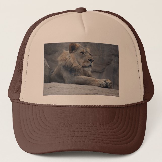 African Lion Trucker Hat (Front)