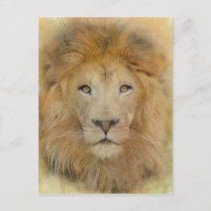  African Lion Wildlife Watercolor Portrait  Postcard