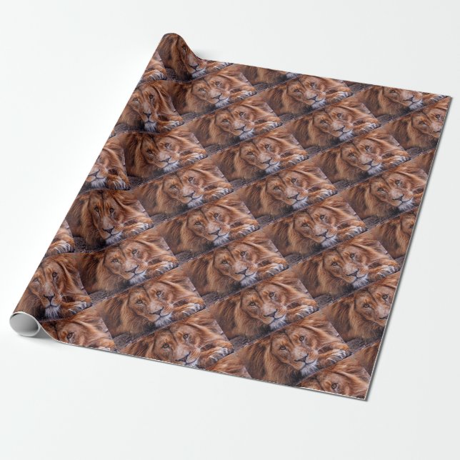 African Lion Wrapping Paper (Unrolled)