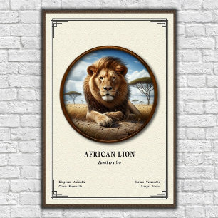 African Lion Zoology Series Poster