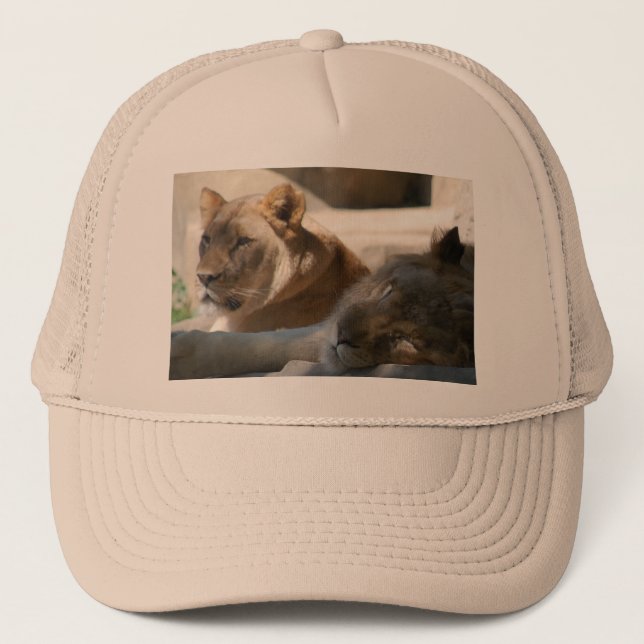 African Lions Trucker Hat (Front)