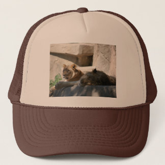 African Lions Trucker Hat