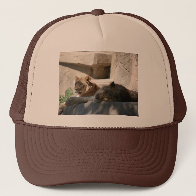 African Lions Trucker Hat (Front)