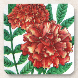 African marigolds coaster