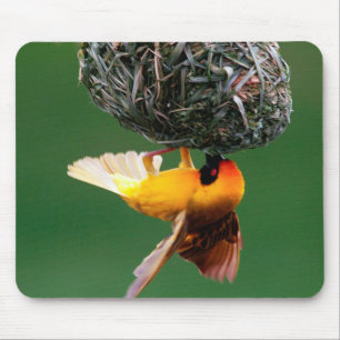 African Masked-Weaver (Ploceus Velatus) Mouse Pad