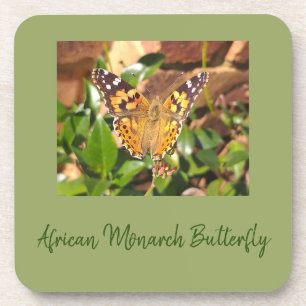 African Monarch Butterfly Coaster