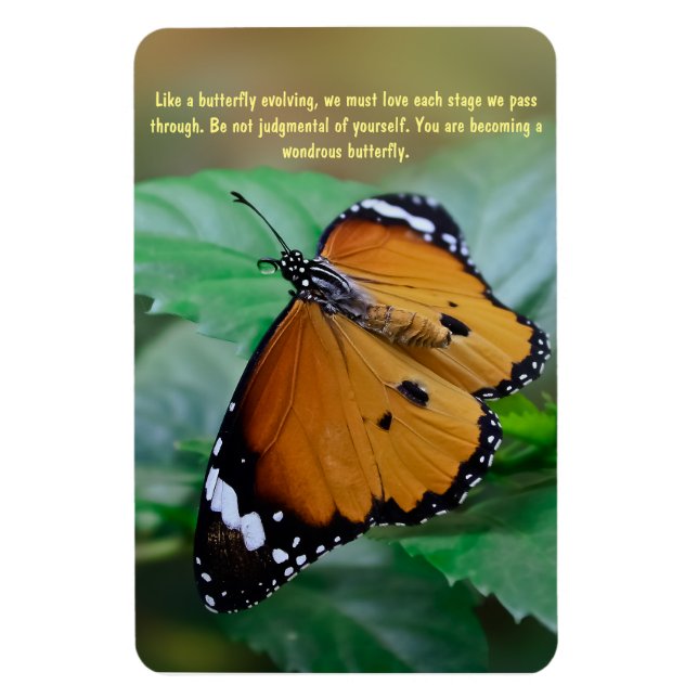 African monarch butterfly inspiration quote magnet (Vertical)
