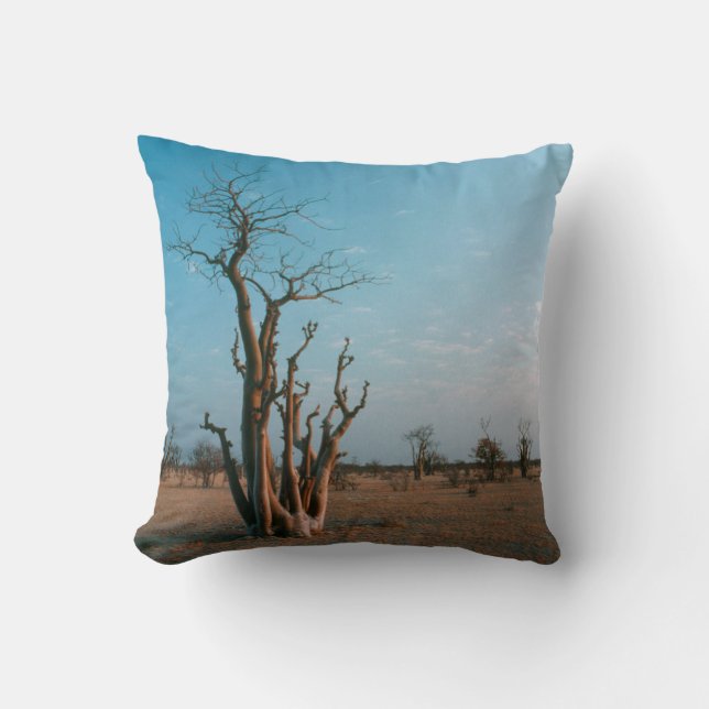African Moringo Tree On Plain, Etosha National Cushion (Front)