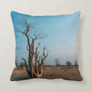 African Moringo Tree On Plain, Etosha National Cushion