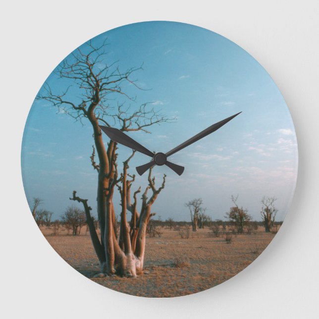 African Moringo Tree On Plain, Etosha National Large Clock (Front)
