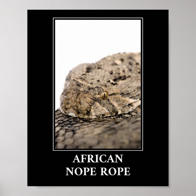 African Nope Rope - Puff adder Snake Danger Poster (Front)