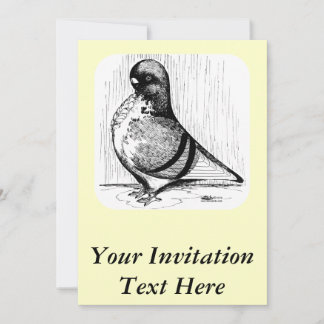 African Owl Pigeon 1978 Invitation
