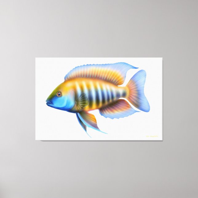African Peacock Cichlid Fish Wrapped Canvas (Front)