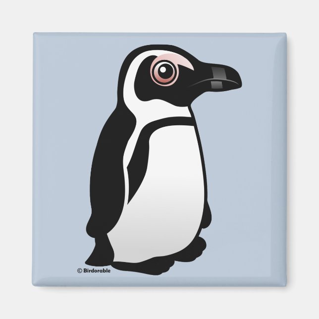 African Penguin Magnet (Front)