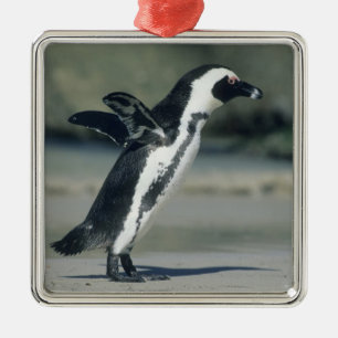 African Penguin Metal Tree Decoration