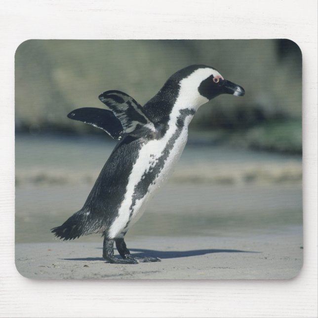 African Penguin Mouse Pad (Front)