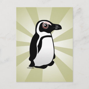African Penguin Postcard