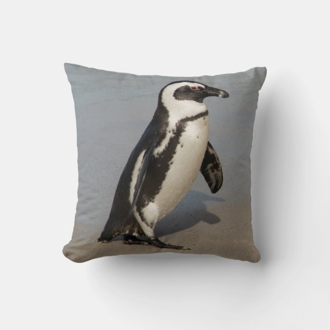 African Penguin Walking Cushion (Front)