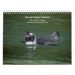 African Penguins 2026 Calendar