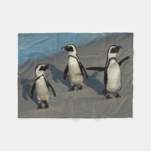 African Penguins   Spheniscus Demersus Fleece Blanket