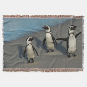 African Penguins Spheniscus Demersus Throw Blanket